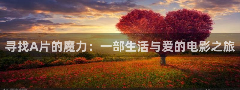 寻找A片的魔力：一部生活与爱的电影之旅