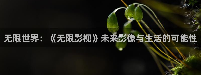 无限世界：《无限影视》未来影像与生活的可能性
