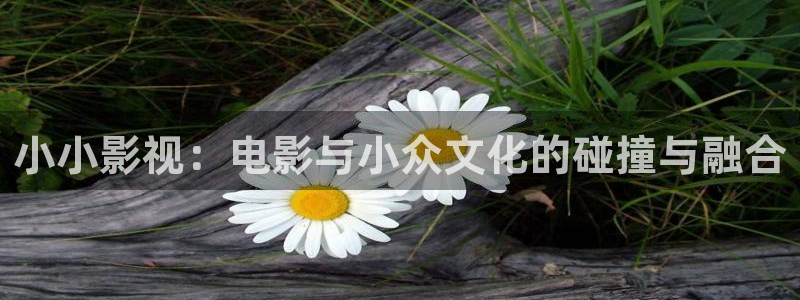 小小影视：电影与小众文化的碰撞与融合
