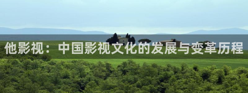 他影视：中国影视文化的发展与变革历程
