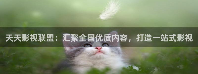 天天影视联盟：汇聚全国优质内容，打造一站式影视
