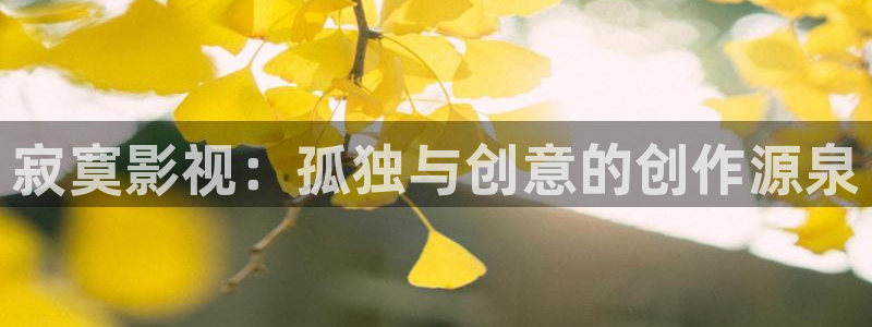 寂寞影视：孤独与创意的创作源泉