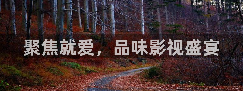聚焦就爱，品味影视盛宴