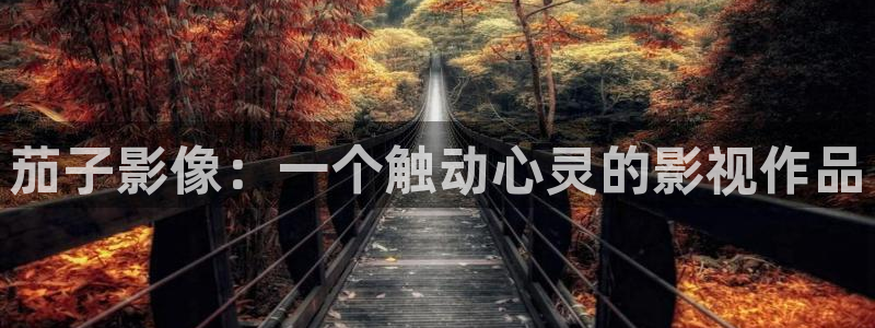 茄子影像：一个触动心灵的影视作品